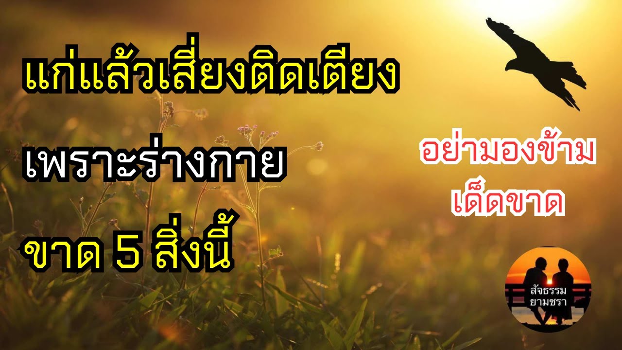 แก่แล้วเสี่ยงติดเตียงเพราะร่างกายขาด 5 สิ่งนี้  | สัจธรรมผู้สูงอายุ