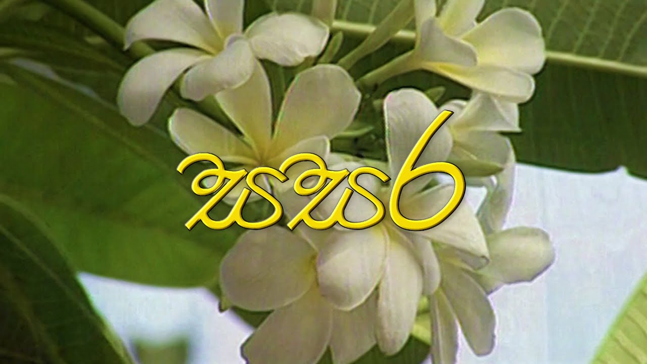Sitha Niwana Katha - සිත නිවන කතා | Sasara - 