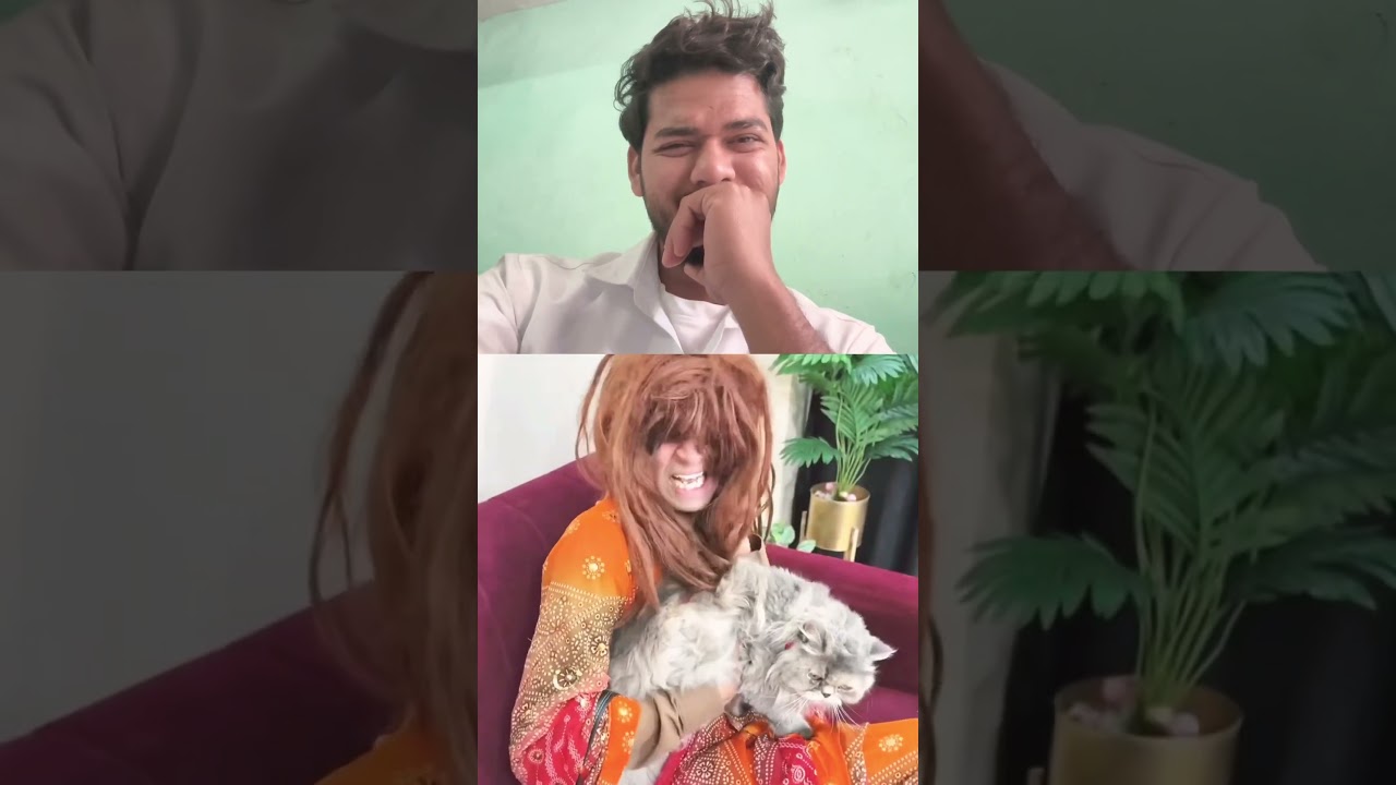 इसका बिल्ला तो बहुत क्यूट है 🥰 #shortvideo #billa #funny
