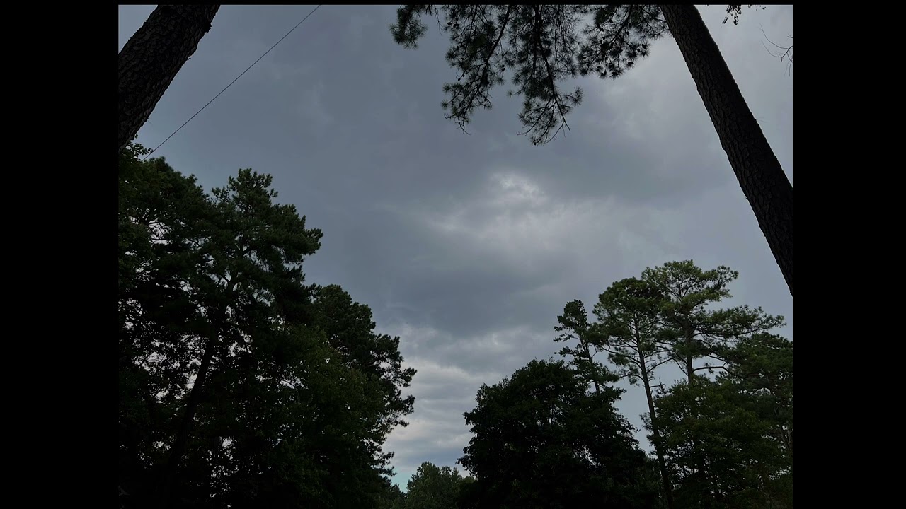 Light storm with bird visiting microphone (audio only)