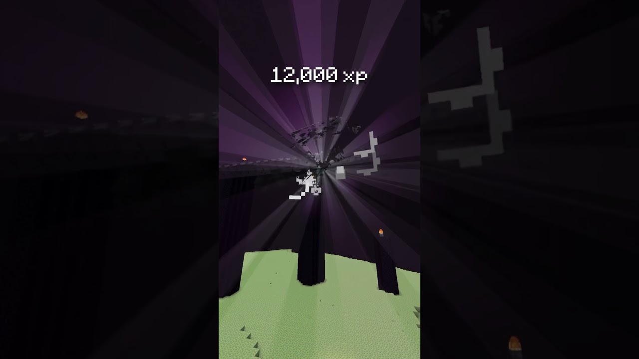 AN ENDERDRAGON FARM? #shorts