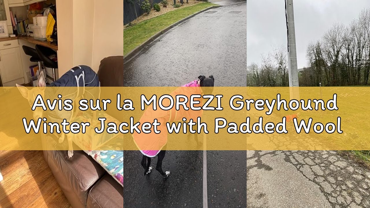 Avis sur la MOREZI Greyhound Winter Jacket with Padded Wool Lining with Adjustable Velcro Buckle and