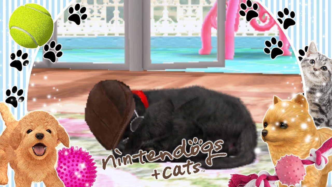 [Gameplay] Nintendogs + Cats (Toy Poodle): I'M BACK...not really