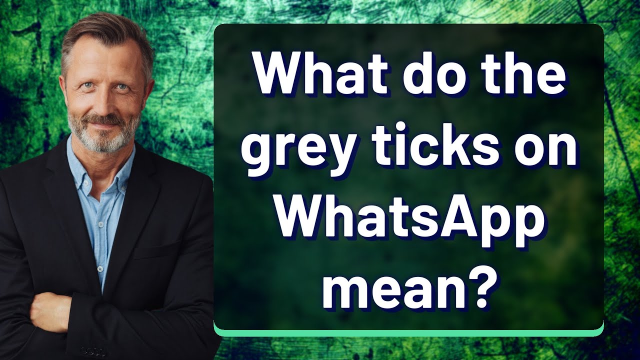 What do the grey ticks on WhatsApp mean?