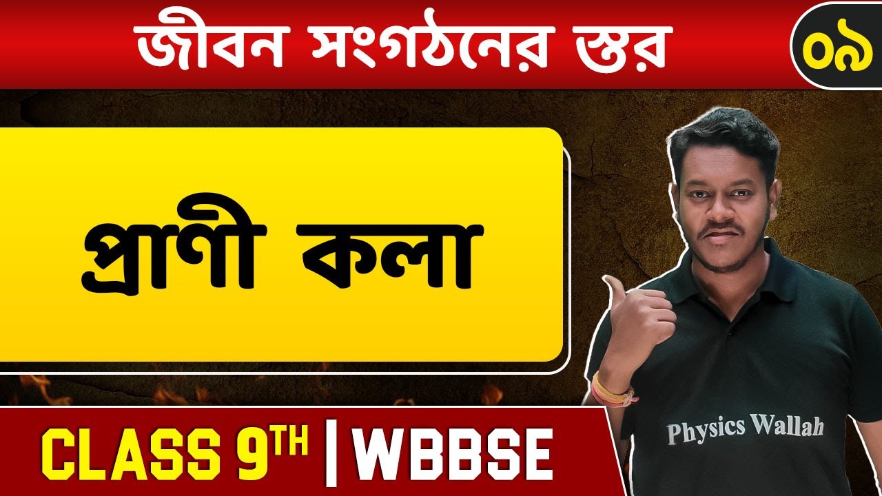 জীবন সংগঠনের স্তর ০৯ | Tissue Part 2 | Animal Tissue & Major Organs | Biology | Class 9 | WBBSE