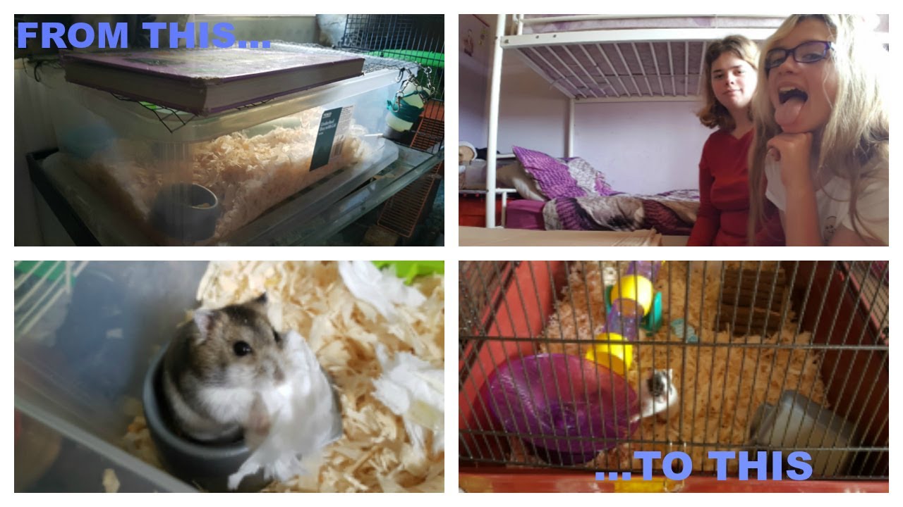 Unboxing Alaska Hamster Cage | HAMSTERS