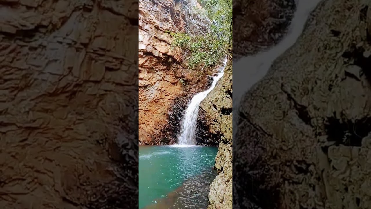 halayudha theertham #halayudha #seshachalam #nature #weekend #asrs