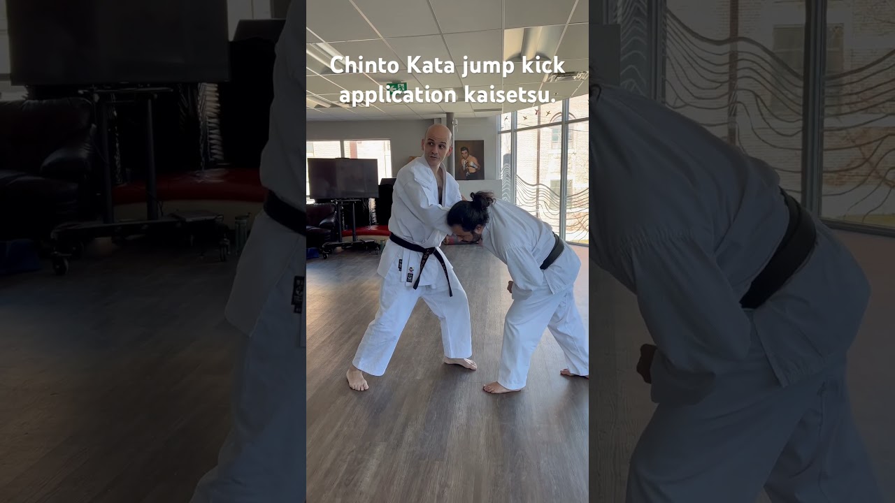 Wado Chinto kata jump kick application kaisetsu. #karate #torontowadoryukarate