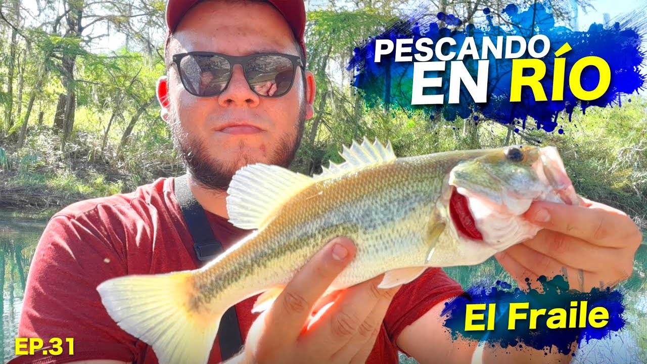 Lobinas de río Ramos | Pesca Voraz
