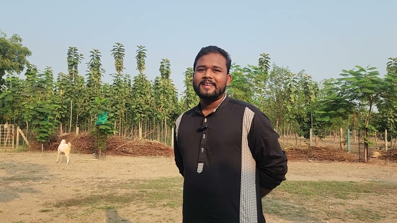 How To Make Profit By Farming In Goat Farm | See The Real Farm | Madina Goat Farm Nagpur.