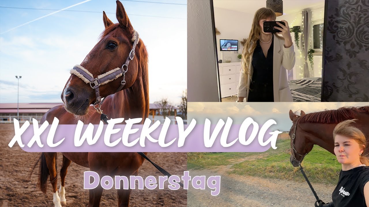 XXL Weekly Vlog: Chaotischer Spaziergang mit den Pferden  & Verfolgungsdrama – Was ist passiert?!