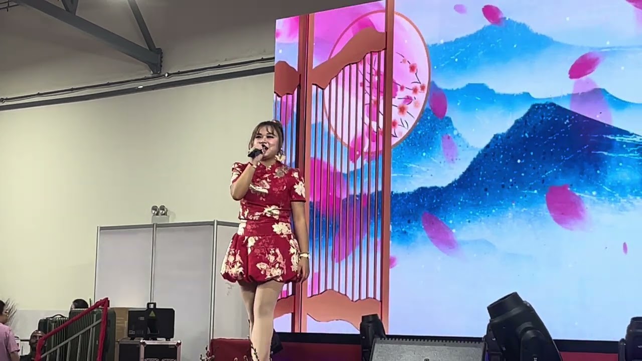 罗恩琪 - 万水千山总是情