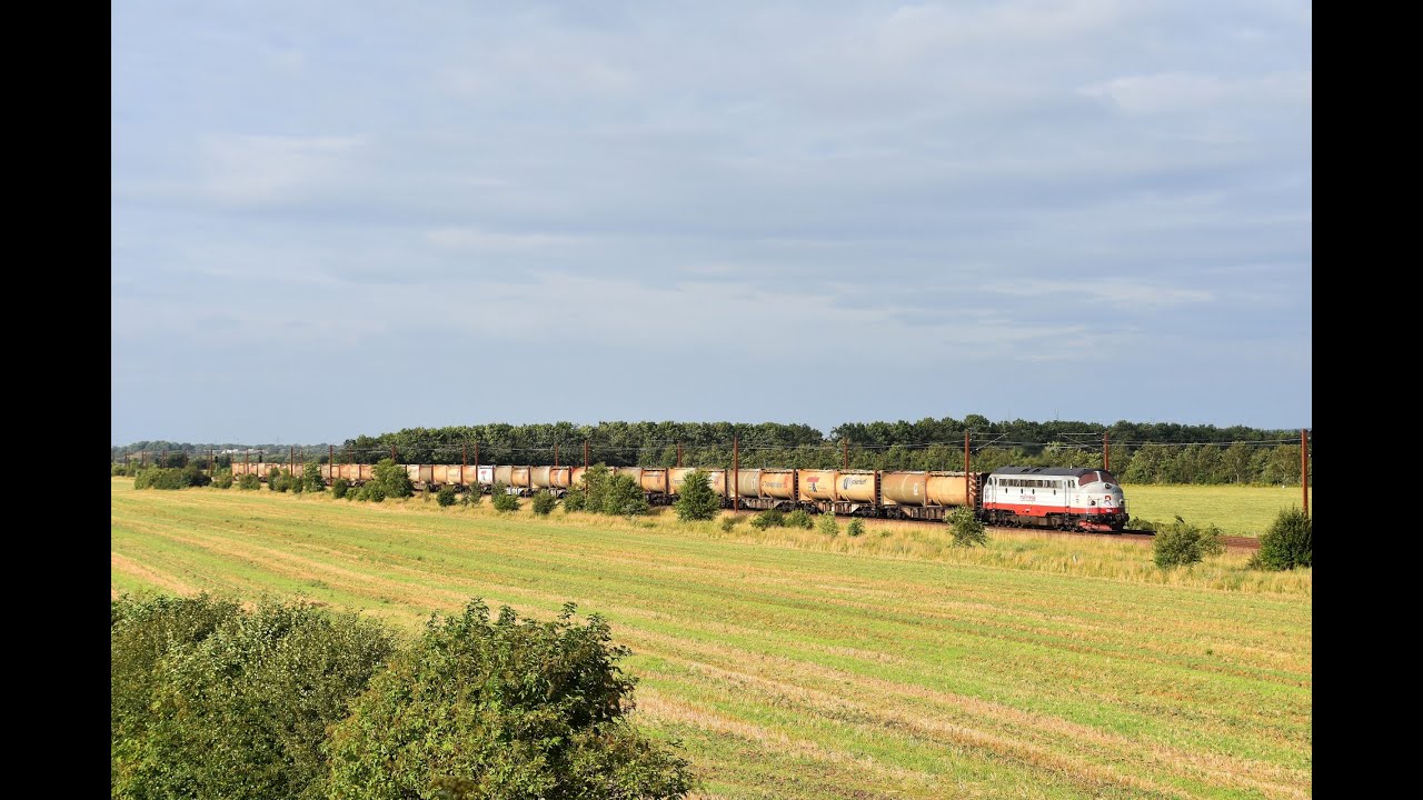 MY 1134 med Cementtog samt MY 1149 + MY 1142 + MY 1155 i Padborg - August 2020