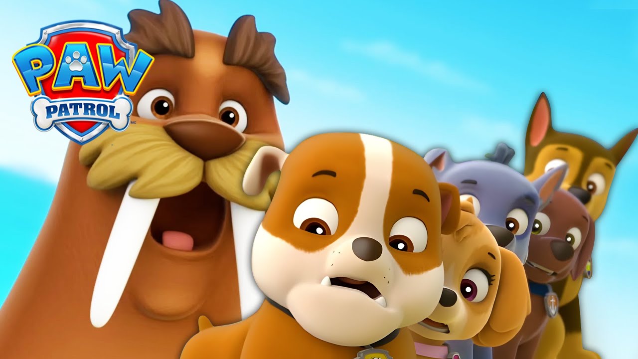 Os filhotes conhecem Wally, a morsa! 🦭 - Patrulha Canina PAW Patrol