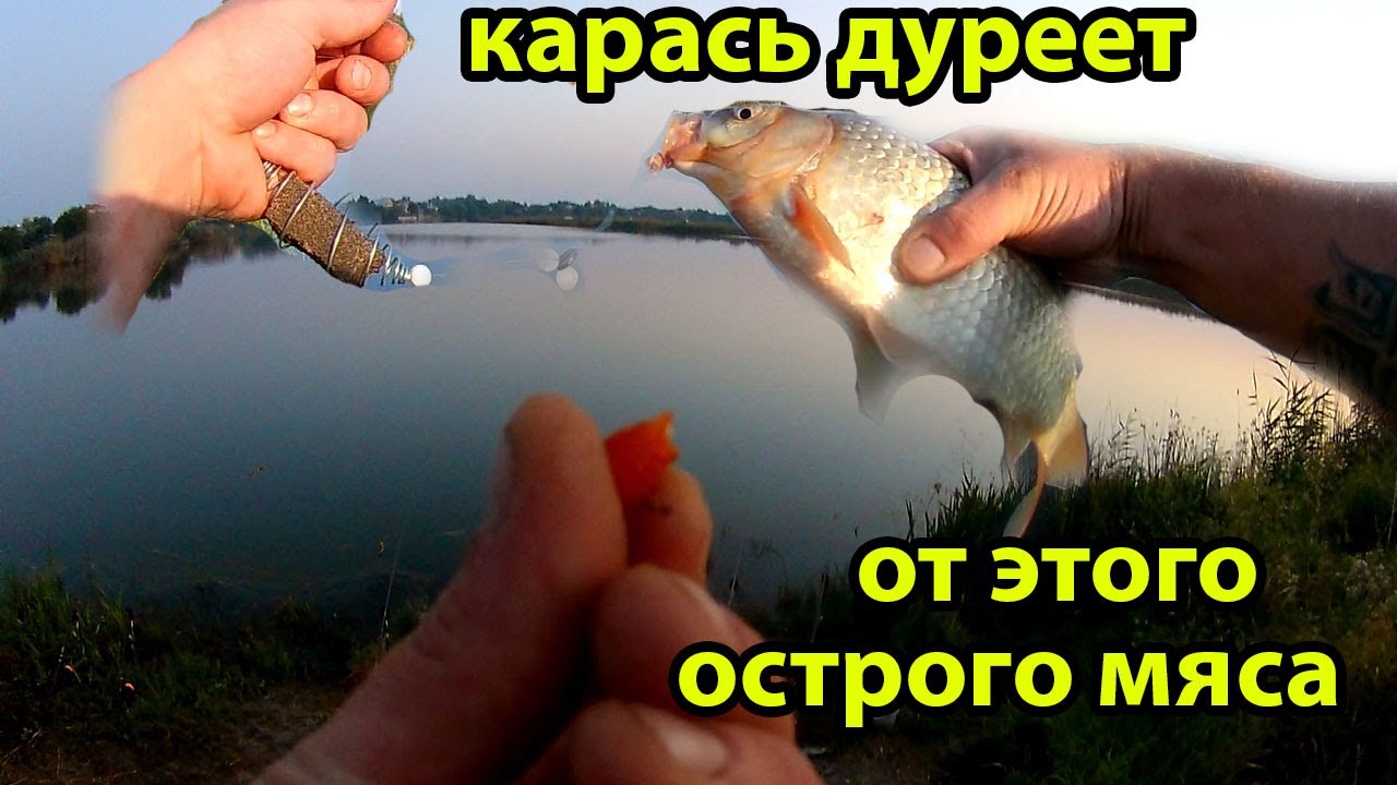 Рыбалка с Ночевкой, Ловлю на СУПЕР Остро Сладкое МЯСО,Рыбалка на карася