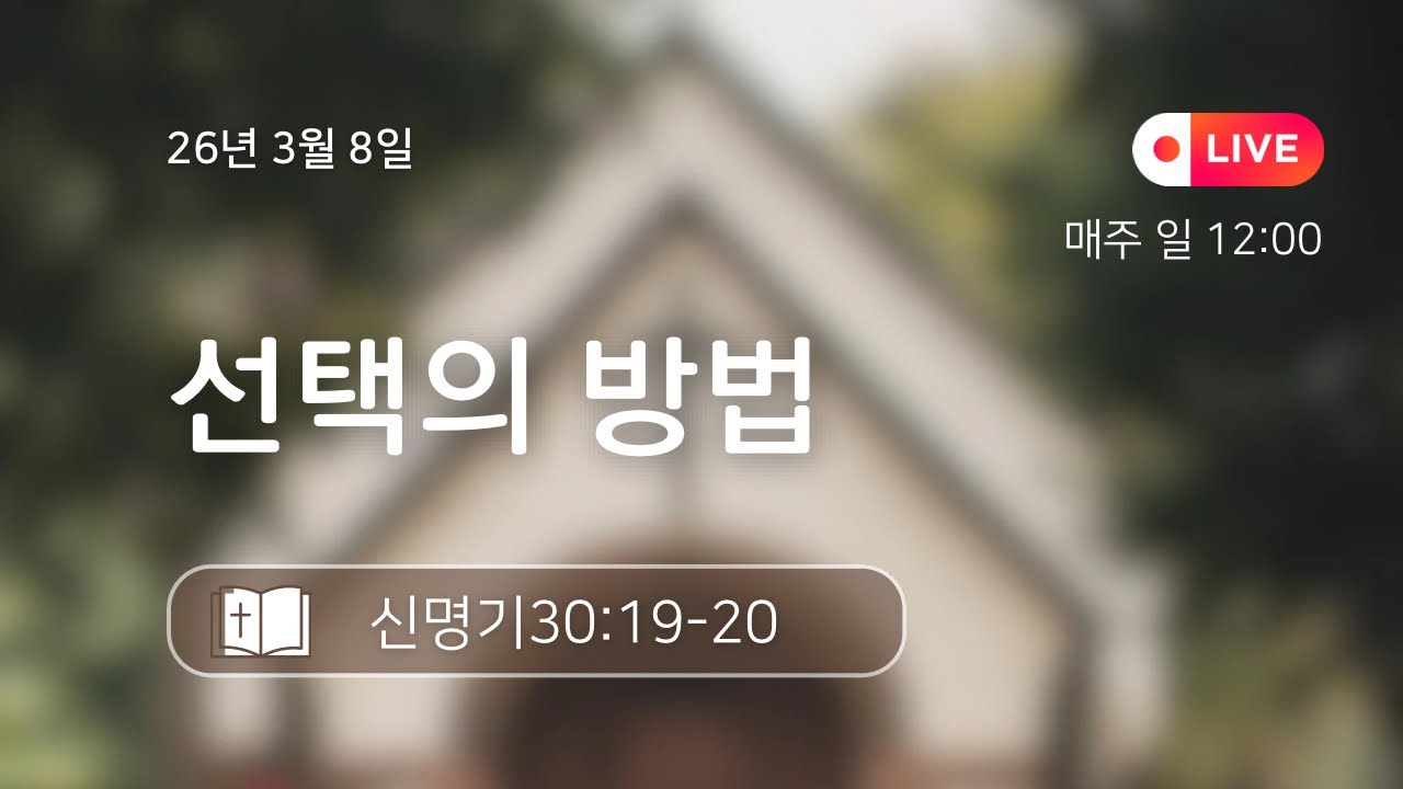 원본 영상 - 선택의 방법