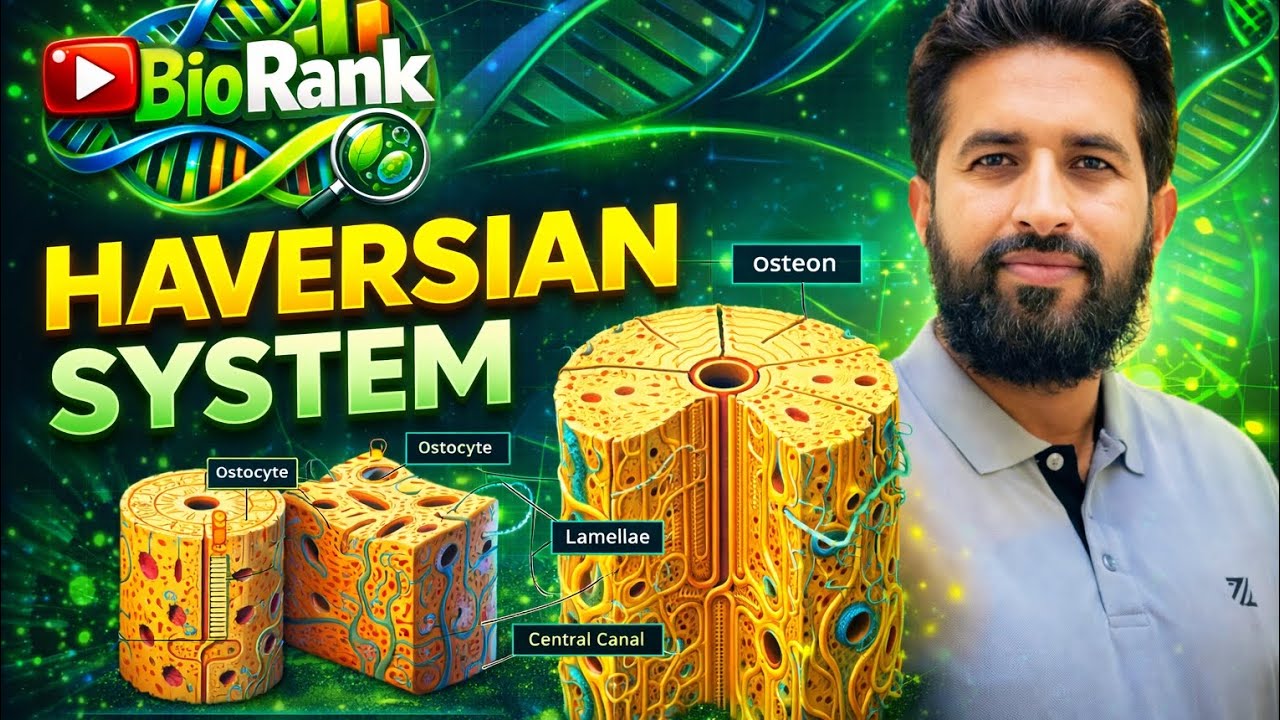 Haversian System of Bone | Osteon | Compact Bone | MDCAT | F.Sc Biology #Osteon #CompactBone