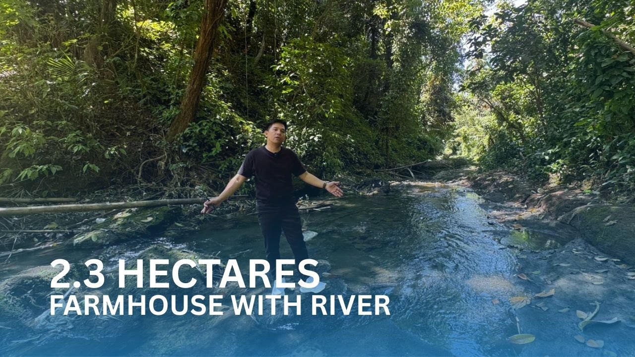 FARMHOUSE 2.3 HECTARES WITH RIVER ALFONSO CAVITE | FARMHOUSE TOUR E42