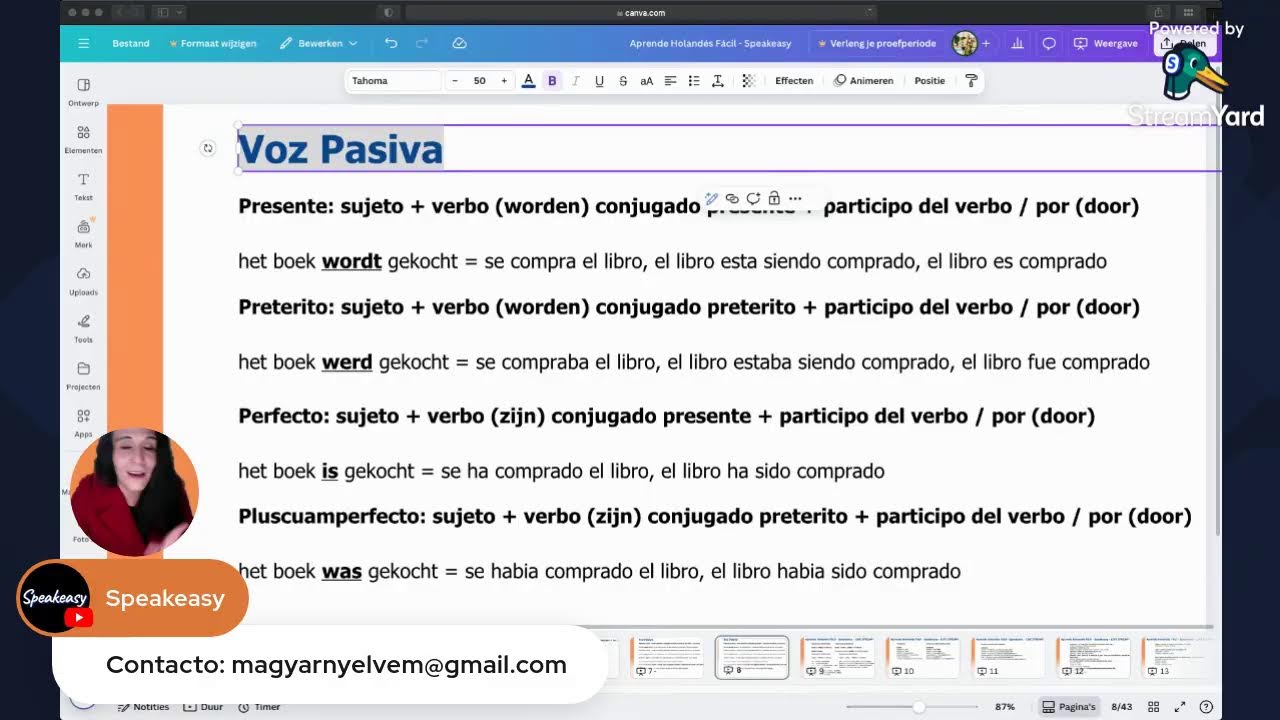 Adjetivos - Preposiciones - Otras Conjugaciones -  Aprende Holandés Fácil - SPEAKEASY