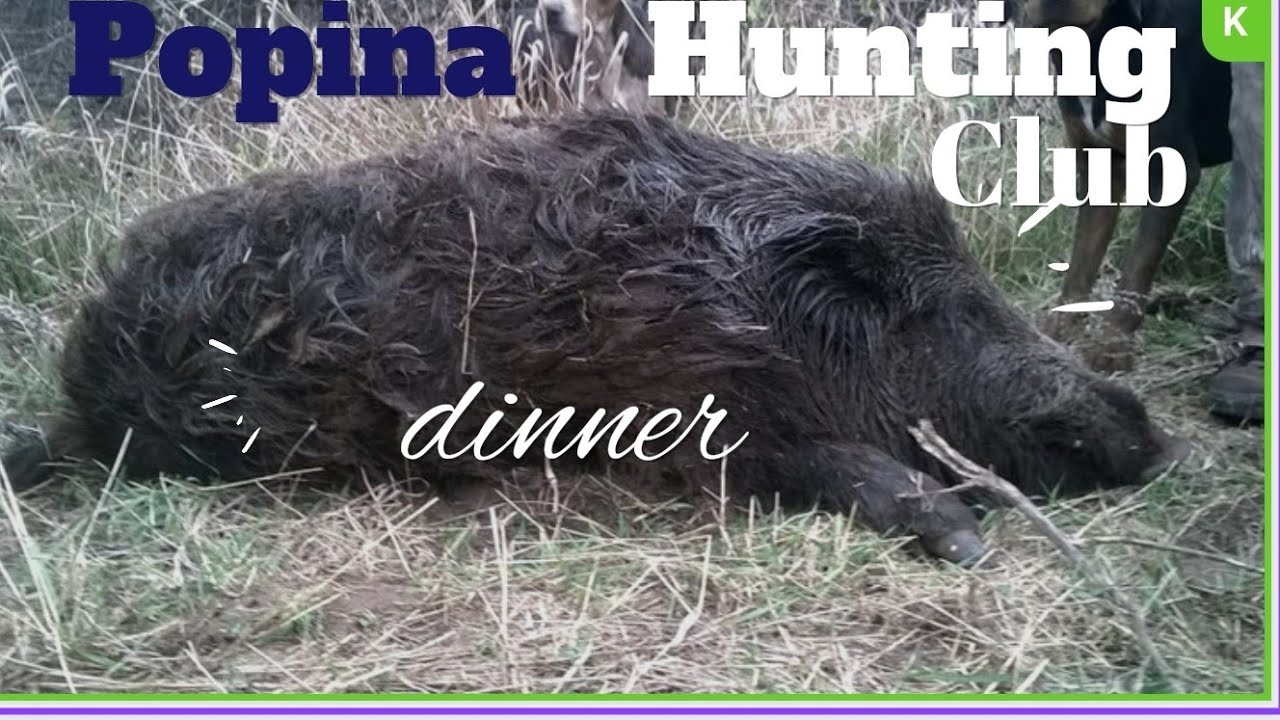 Hunting club dinner | Popina |Bulgaria | Вечеря в Ловна къща Попина | Ловна дружинка