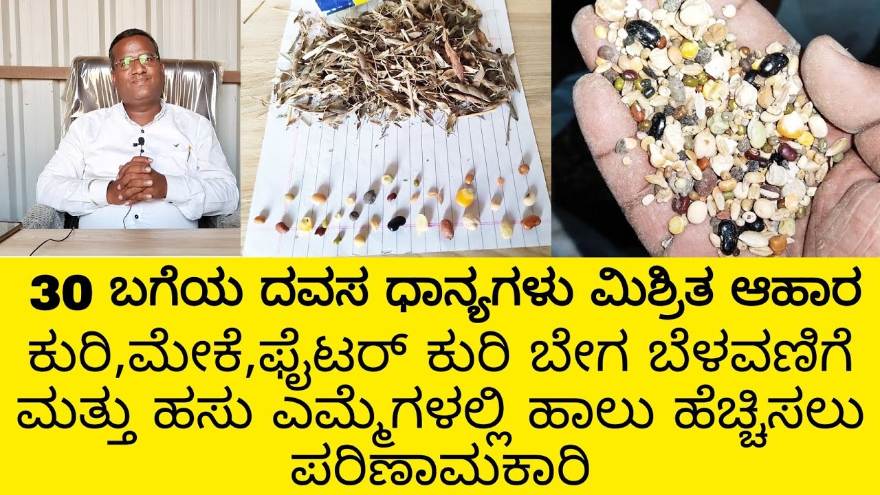 animal feeds sales in karnataka | cattle feed| goat farming feed | cow feed| buffalo feed |