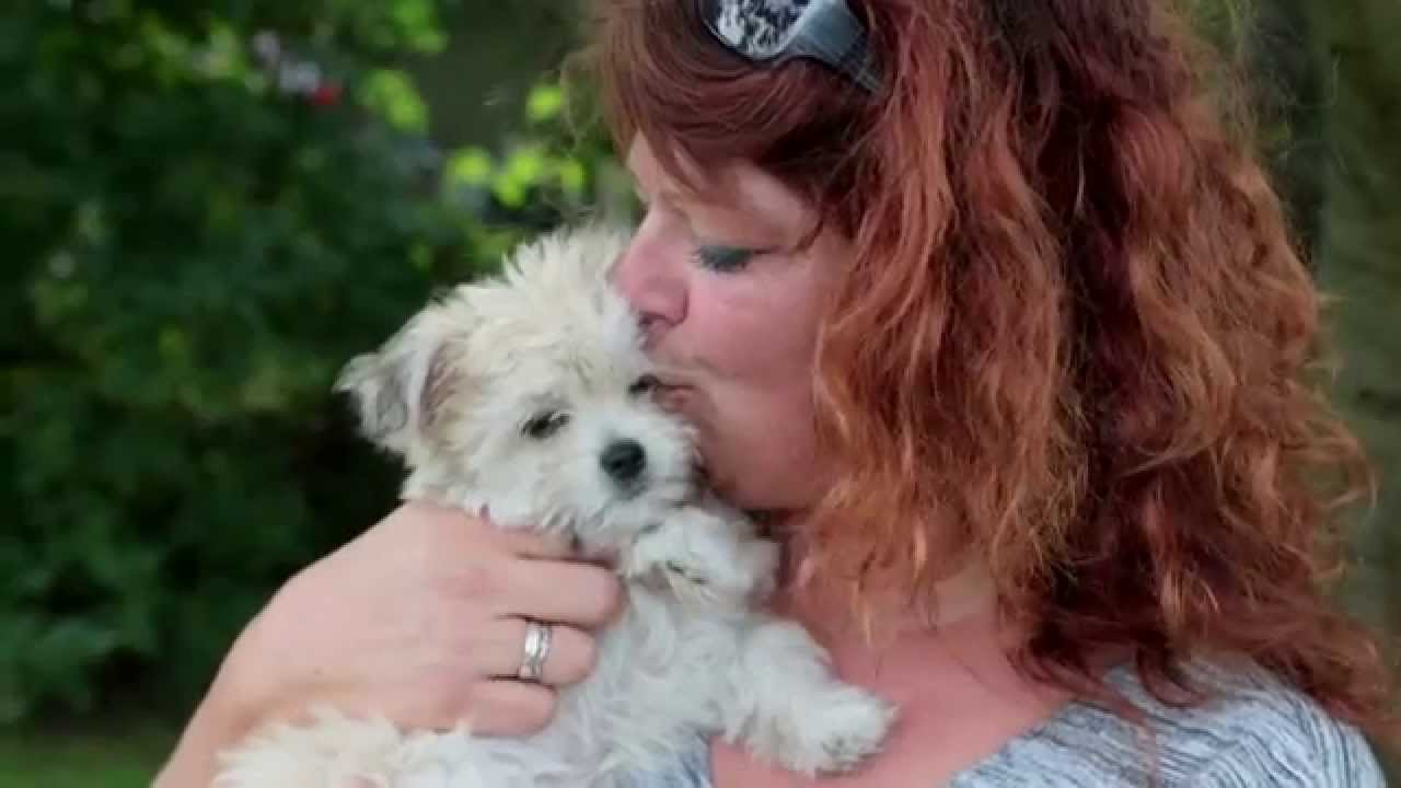 Dyrev&aelig;rnets hvalp har f&aring;et sin familie
