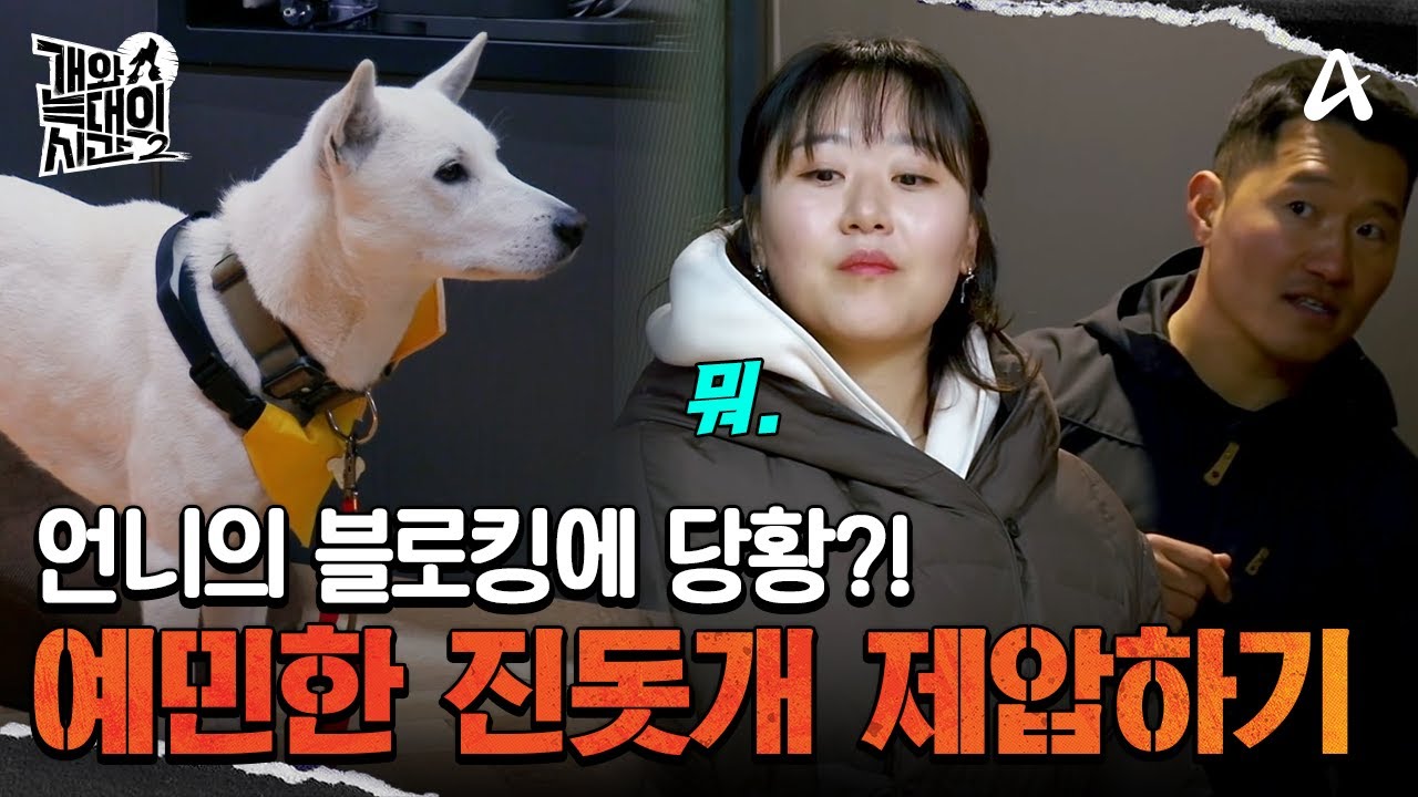 경계심과 공격성이 강한 늑대 3호... 과연 제압할 수 있을까? | 개와 늑대의 시간2 9 회