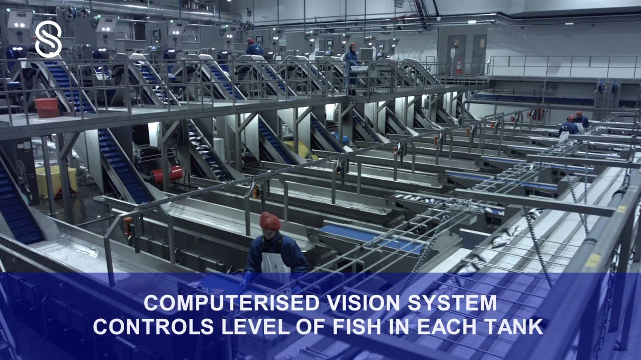 Skaginn 3X - Complete Automatic Pelagic Processing Plant (Full video)