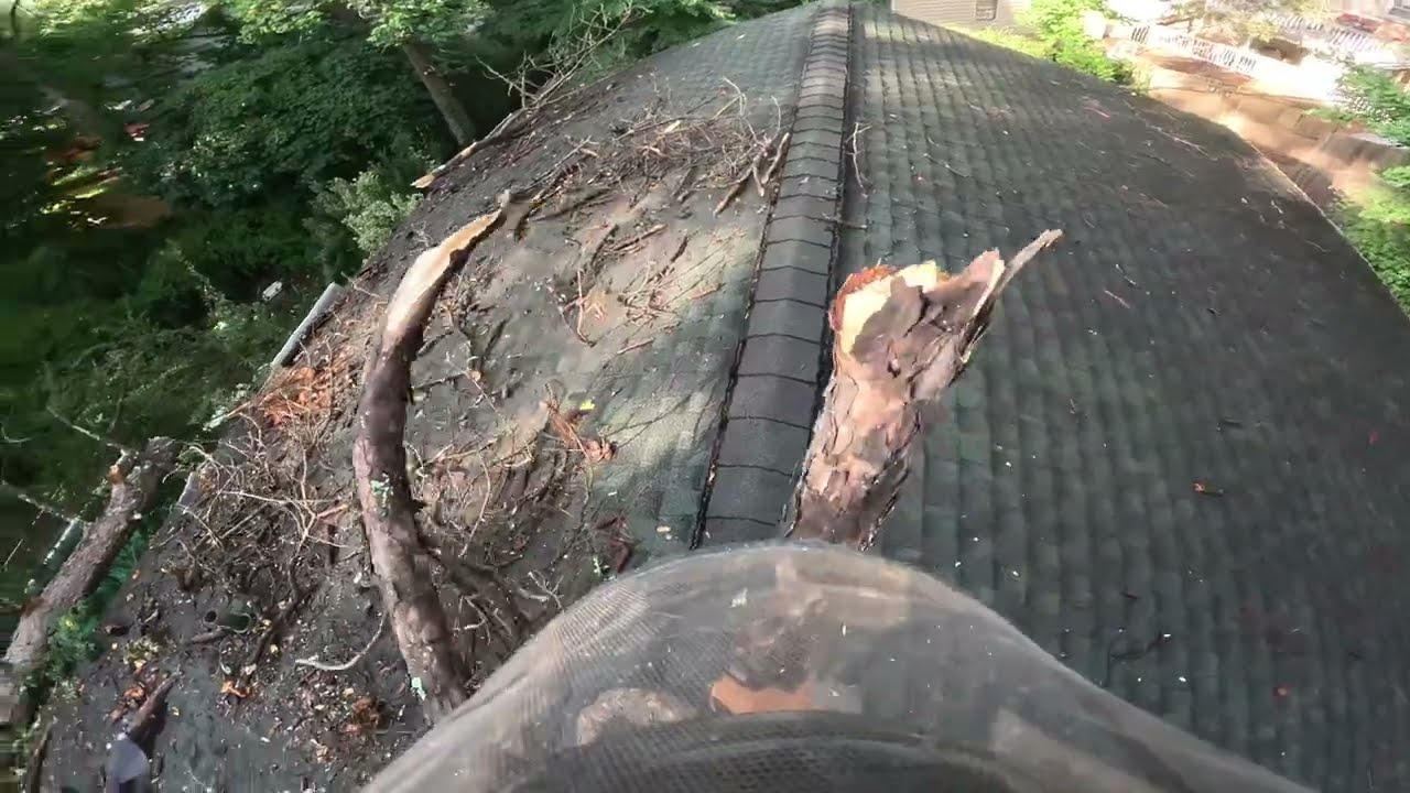 STORM DAMAGE