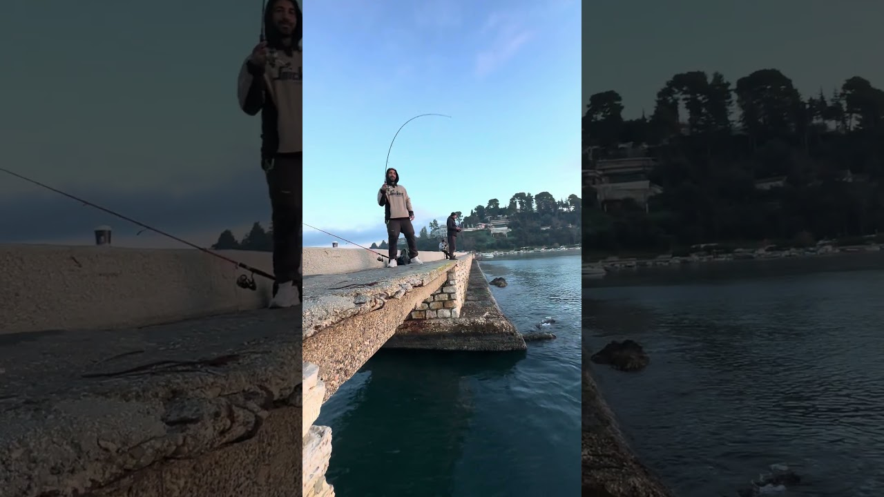 &Mu;&epsilon;&gamma;ά&lambda;&omicron; &lambda;&alpha;&upsilon;&rho;ά&kappa;&iota; &mu;&epsilon; Yuki Nuba spin 1 &kappa;&alpha;&iota; Fiiish Black Minnow. &Omicron; &kappa;&alpha;&lambda;ύ&tau;&epsilon;&rho;&omicron;&sigmaf; &sigma;&upsilon;&nu;&delta;&upsilon;&alpha;&sigma;&mu;ό&sigmaf;! #seabass #fyp