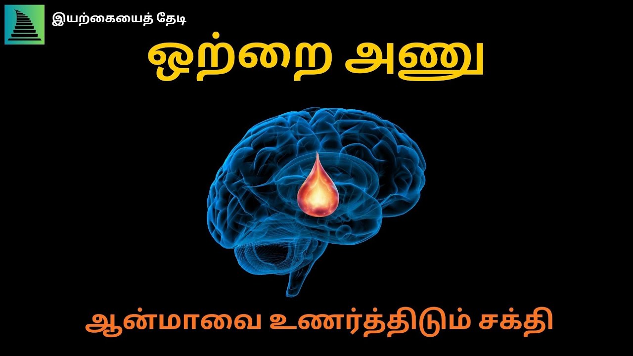 ஒற்றை அணு என்றால் என்ன? ஆத்மவுடன் அதன் தொடர்பு யாது? மூளைக்குள் அதன் இருப்பிடம் எங்கே?
