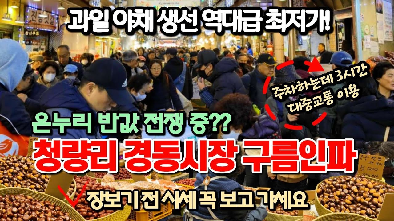 난리난 청량리 경동시장 아침부터 미어터진다! 수도권 사람들 명절에 꼭 들리는 경동시장 청량리종합시장 반값 구매하기 서두르세요! 경동시장 청량리종합시장 남대문시장