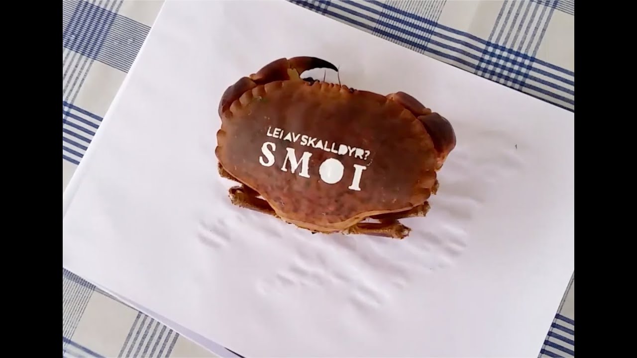 Lei av krabber