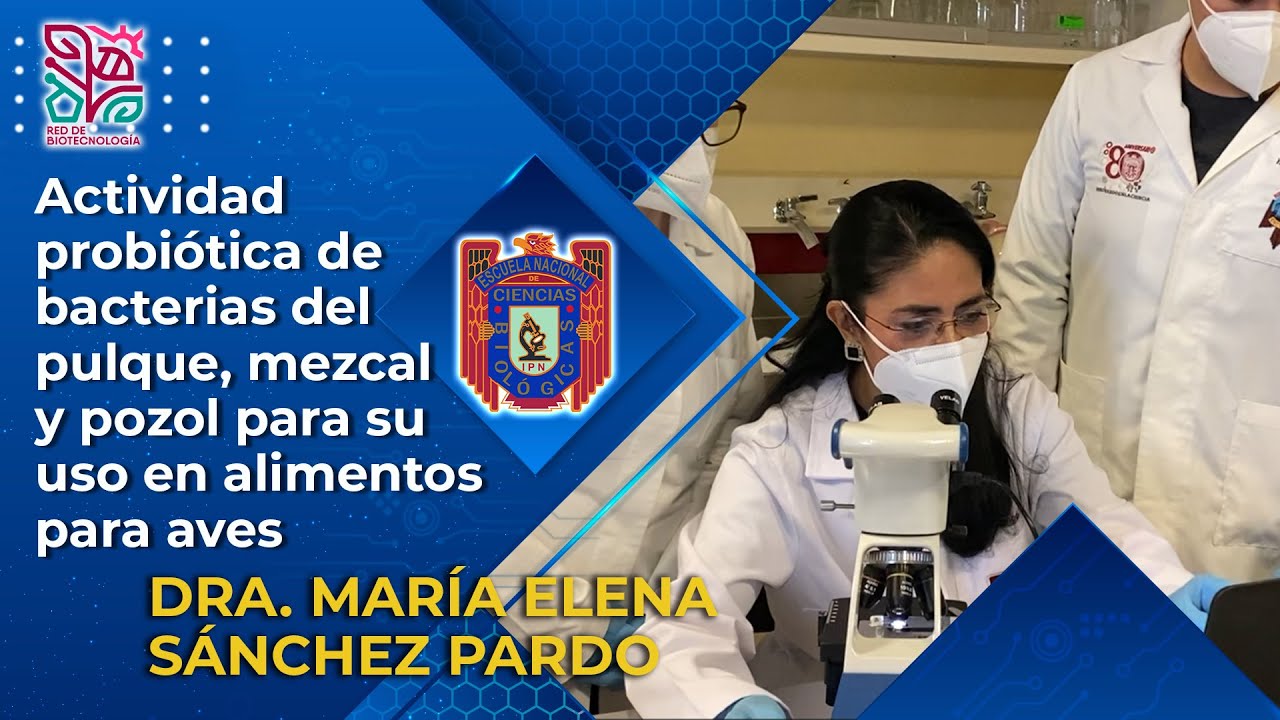Probi&oacute;ticos en pulque, mezcal y pozol para alimentos para aves-Dra. Ma. Elena S&aacute;nchez Pardo, ENCB