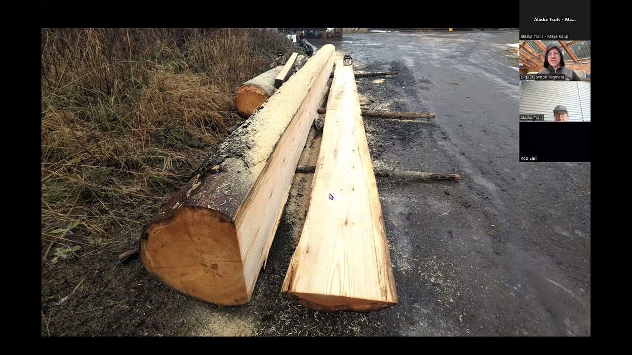 Trails Conference 2025 - Application of South-America Style Chainsaw Milling with an Electric Saw