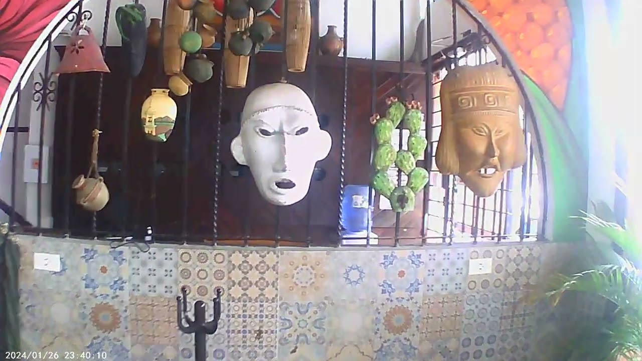 12 FEB 2026 TUXPAN VIDEO 5 PRIMEROS DEL DIA