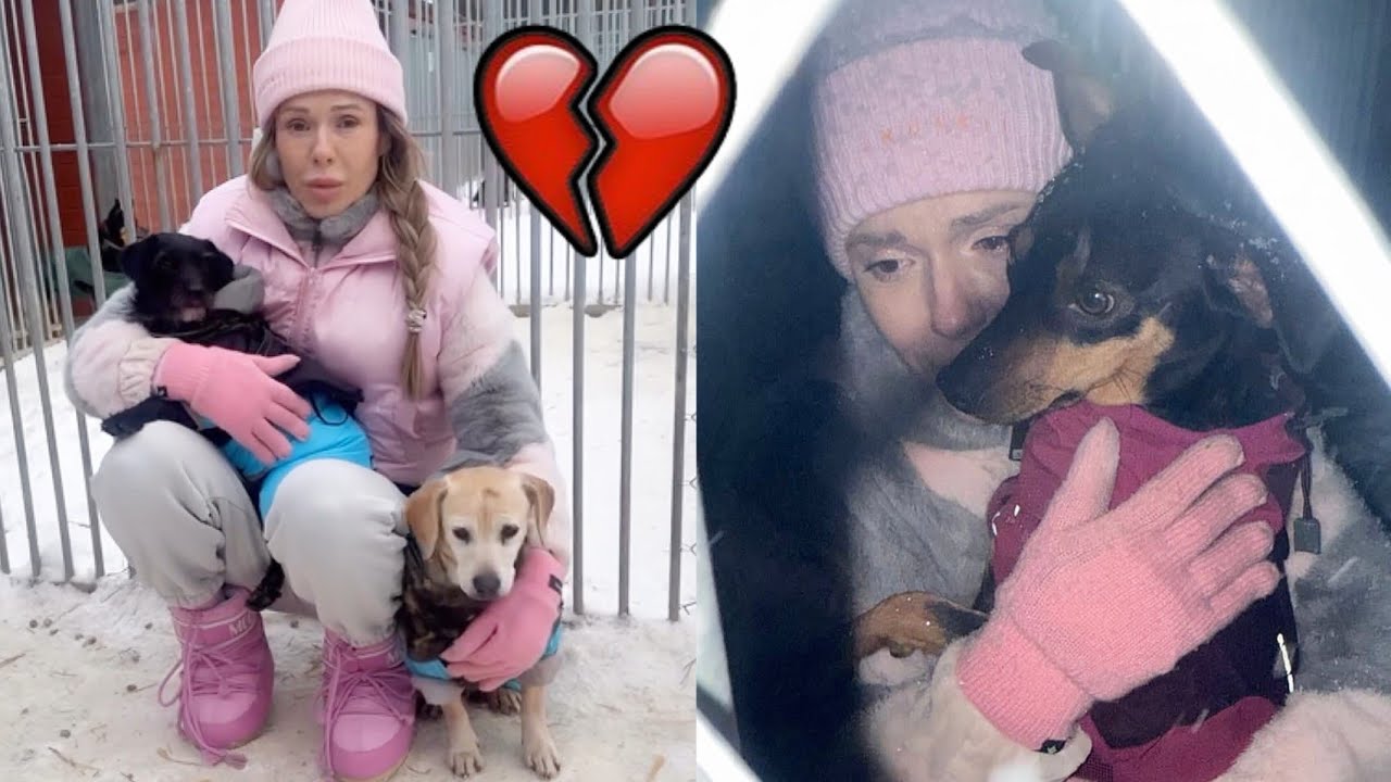AKCJA DODY PORUSZYŁA CAŁY KRAJ💔 TAK POMAGA ZWIERZĘTOM💔‼️