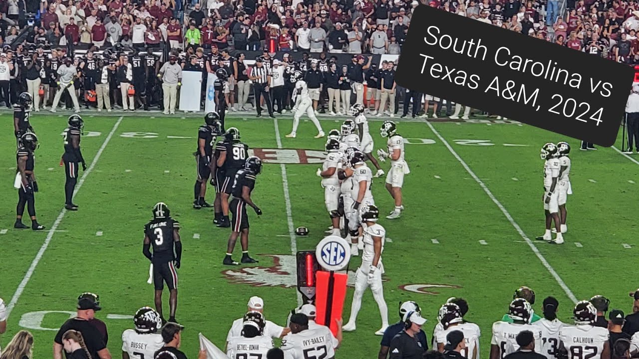 South Carolina vs Texas A&M | Homecoming 2024 | Fan Experience | 11.2.2024
