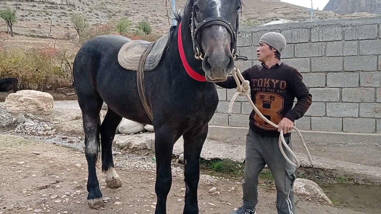 Срочно от сотилади буйи 1,67.3100$.  Те+79166423455.