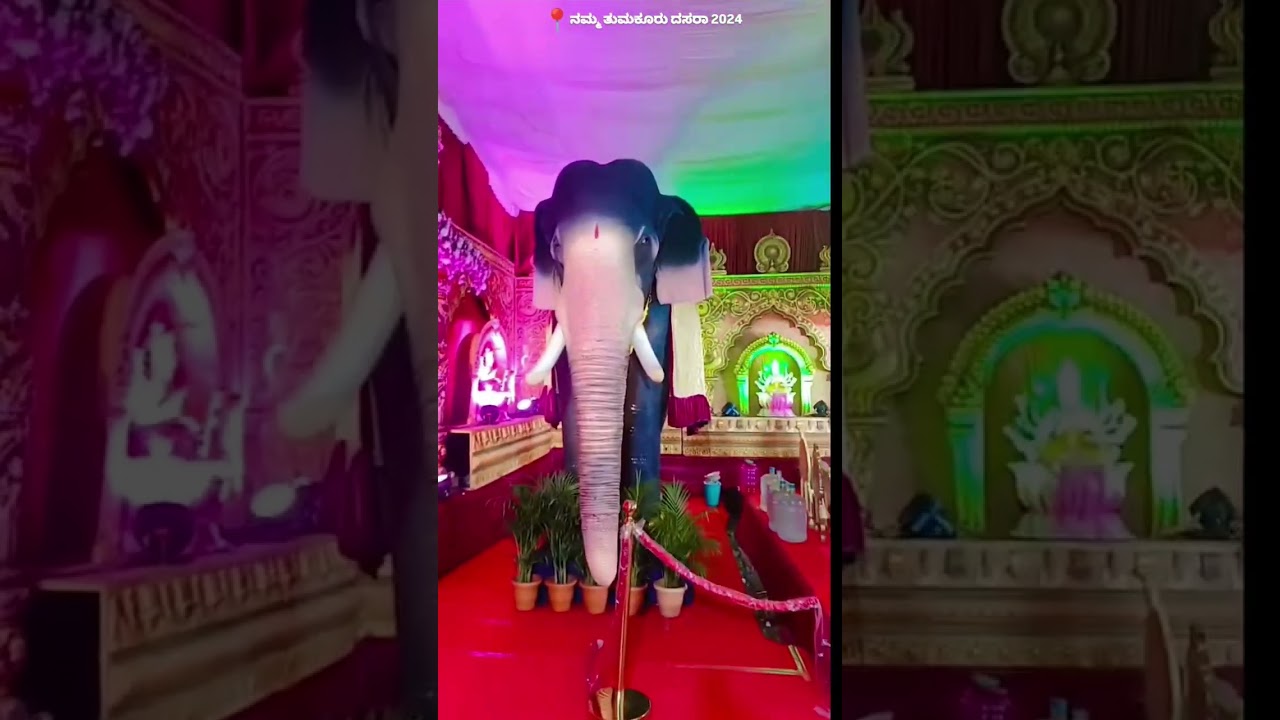 TUMKUR LIGHTENUP FOR DASARA 2024|| KA 06 #dasara #tumkur #light #city