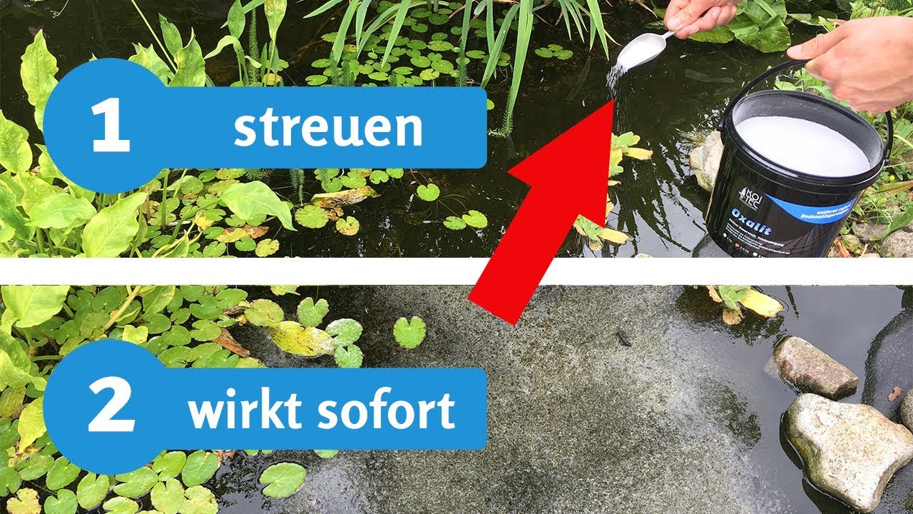 Teichschlamm entfernen in Minuten &ndash; geht das? Der Live-Test mit Erfahrungsbericht
