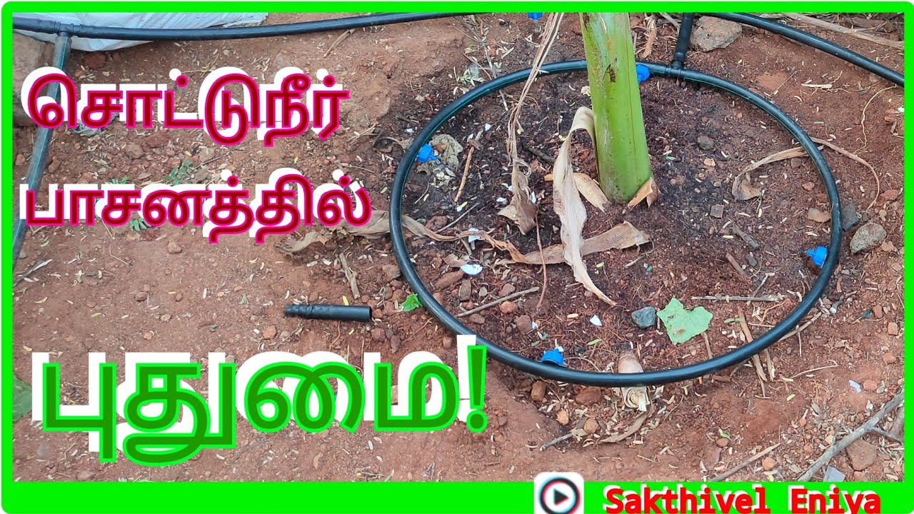 Ring type drip system for trees