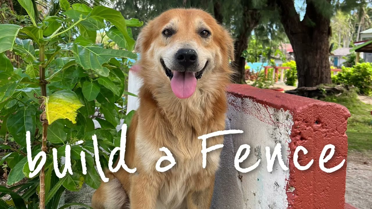 튼튼 펜스를 만들자 🐈‍⬛🐕🐾🇵🇭-Logbon island