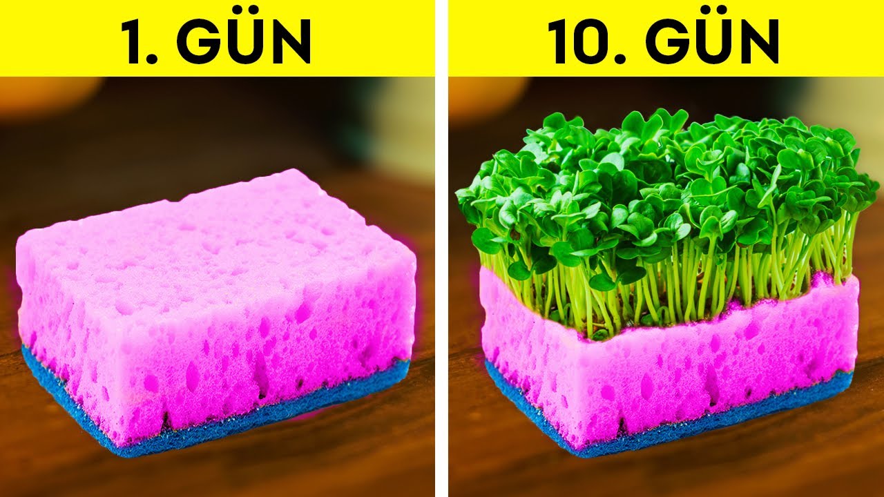 YAZ İÇİN YARARLI BAHÇIVANLIK TÜYOLARI