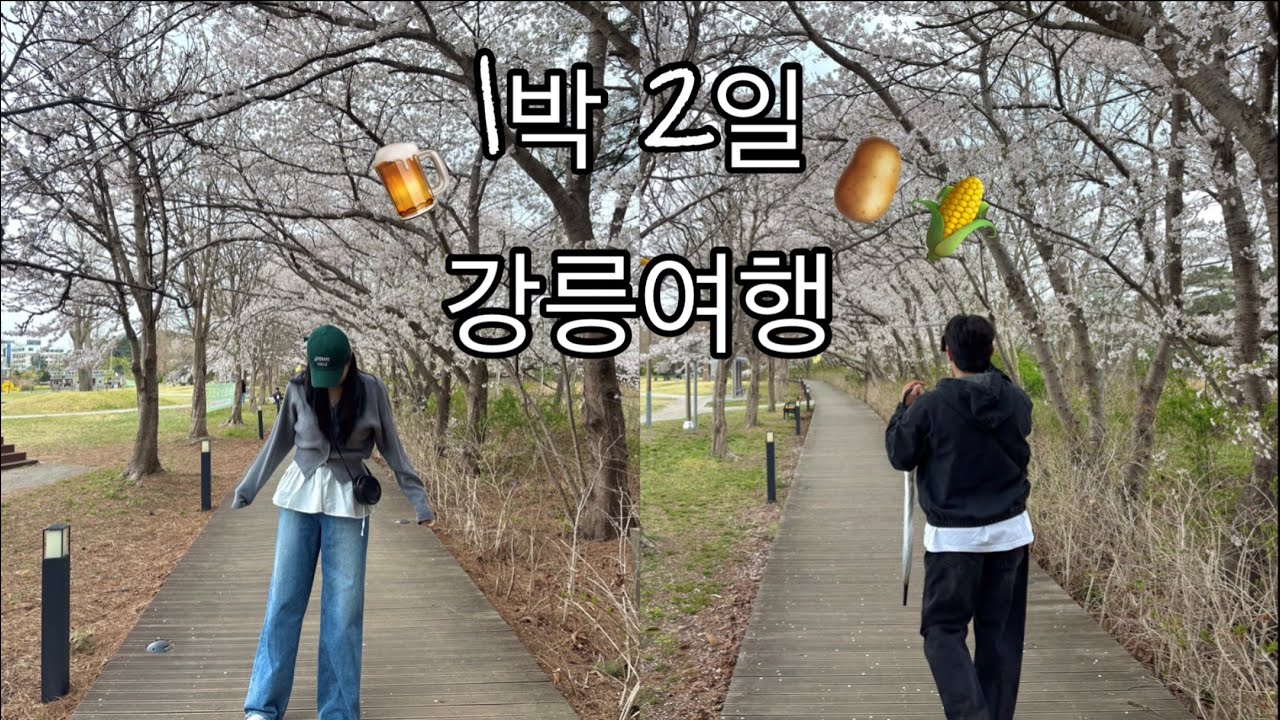 VLOG l “벚꽃 아래에서 먹방 폭주🌸🍜 강릉 커플여행 브이로그”