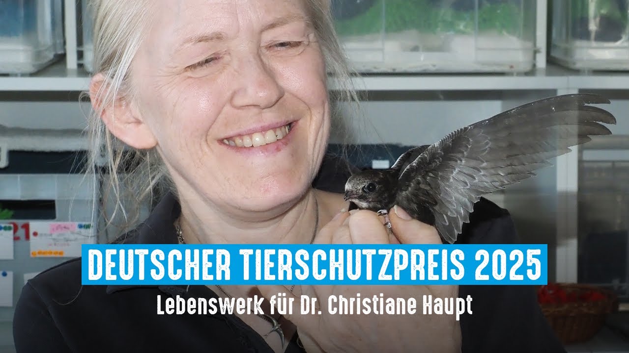 Deutscher Tierschutzpreis 2025: Lebenswerk für Christiane Haupt