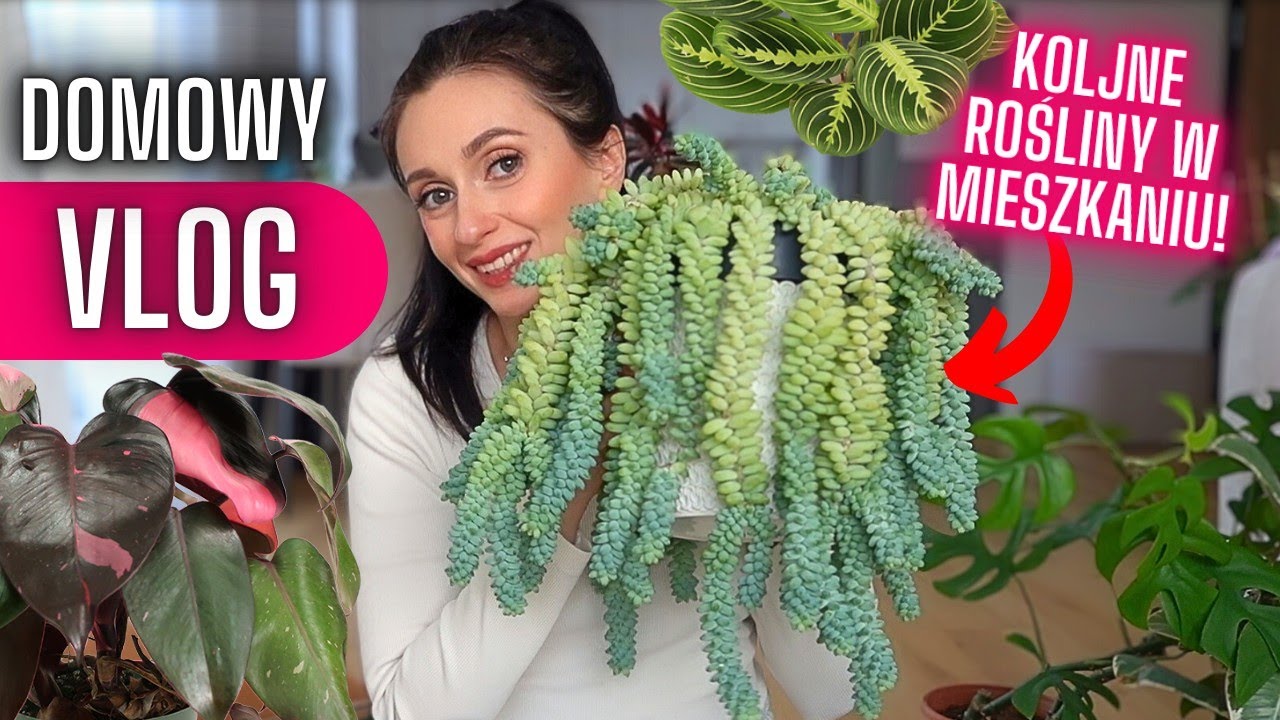 Kolejne rośliny w mieszkaniu 🍇🪴 Luźny dzień z nami 🍽️ Domowy VLOG 🌱 Gosia i Miłosz Vlog
