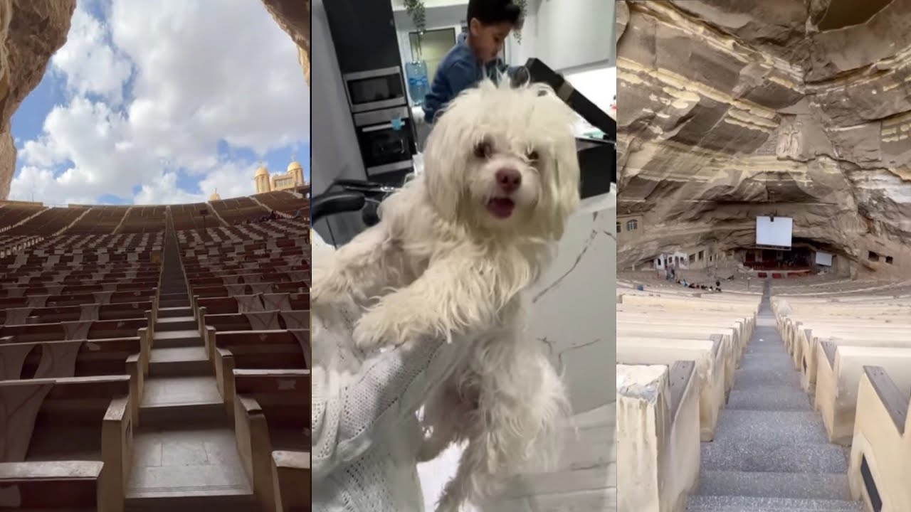 اخر فلوج فى2021 كل سنة وانتم طيبين وحلوين ومصر بخير 53 Vlog اشوفكم السنة الجاية ان شاء الله ومكملين
