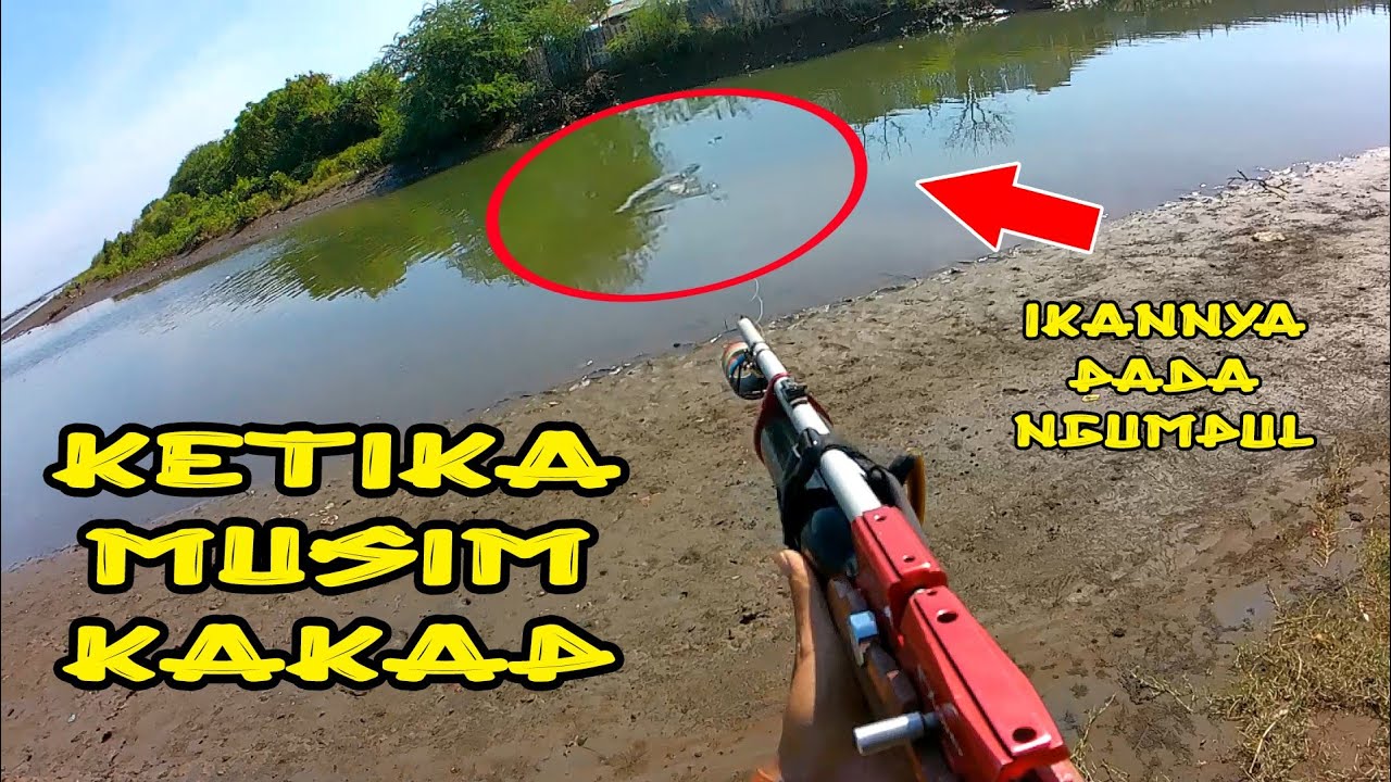 PASER MANIA!!! MUSIM KAKAP SEMUA IKAN HARUS DISELAMATKAN