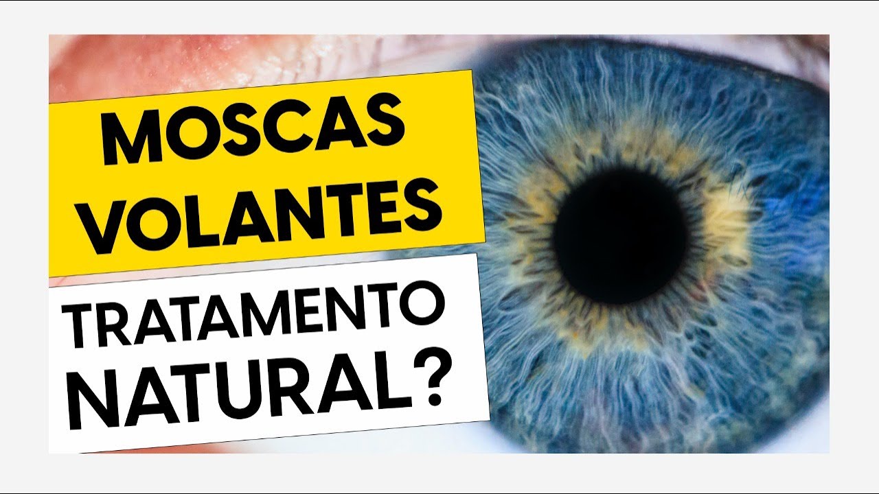 Mosca volante e tratamento natural? • Dr. Gustavo Bonfadini